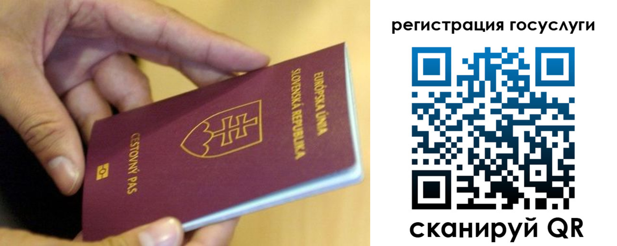 прописка в квартире в Мытищах